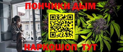 крисы Коммунар