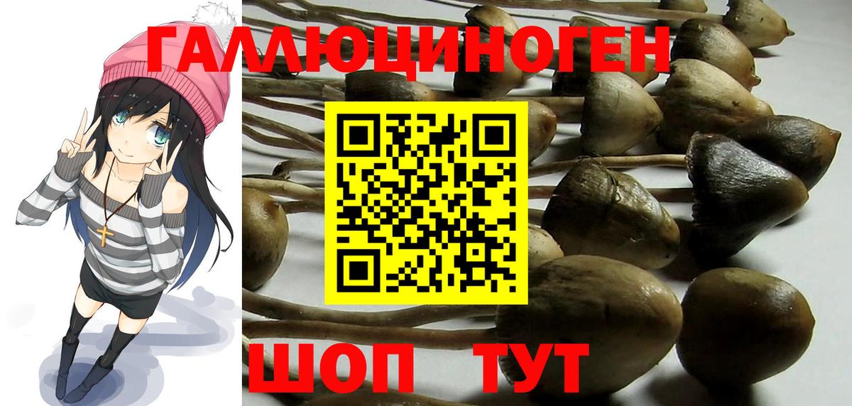 Галлюциногенные грибы MAGIC MUSHROOMS Краснодар