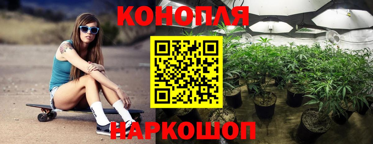 Конопля гибрид Краснодар